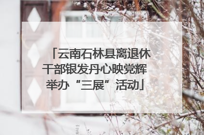 云南石林县离退休干部银发丹心映党辉举办“三展”活动