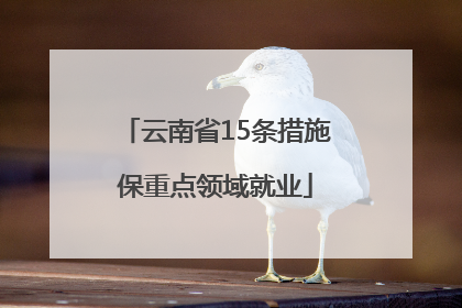 云南省15条措施保重点领域就业