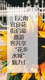 云南宜良花街启幕 邀游客共享“花乡水城”魅力