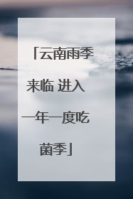 云南雨季来临 进入一年一度吃菌季