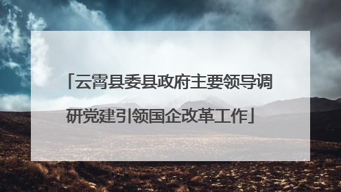 云霄县委县政府主要领导调研党建引领国企改革工作