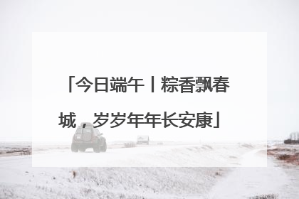 今日端午丨粽香飘春城，岁岁年年长安康