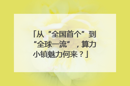 从“全国首个”到“全球一流”，算力小镇魅力何来？