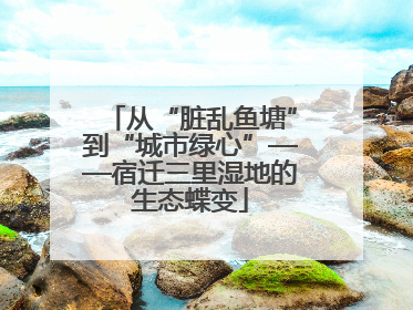 从“脏乱鱼塘”到“城市绿心”——宿迁三里湿地的生态蝶变