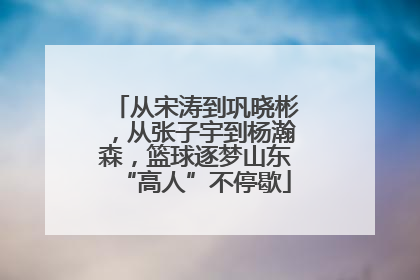 从宋涛到巩晓彬，从张子宇到杨瀚森，篮球逐梦山东“高人”不停歇