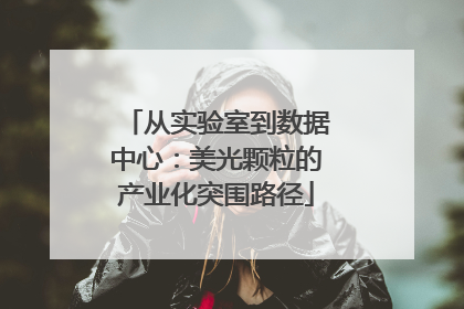 从实验室到数据中心：美光颗粒的产业化突围路径