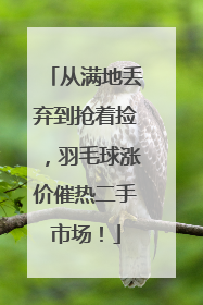 从满地丢弃到抢着捡，羽毛球涨价催热二手市场！