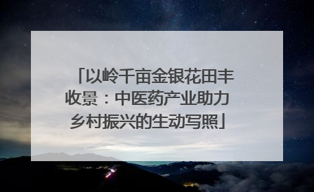 以岭千亩金银花田丰收景：中医药产业助力乡村振兴的生动写照