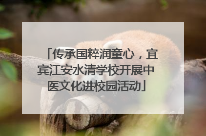 传承国粹润童心，宜宾江安水清学校开展中医文化进校园活动