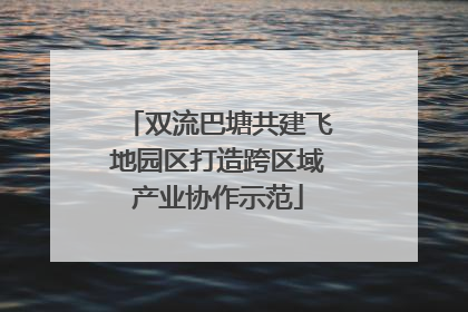 双流巴塘共建飞地园区打造跨区域产业协作示范