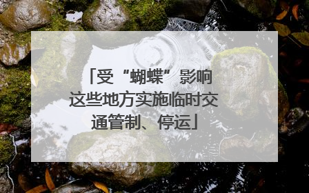 受“蝴蝶”影响 这些地方实施临时交通管制、停运