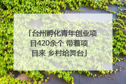 台州孵化青年创业项目420余个 带着项目来 乡村给舞台