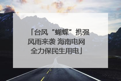 台风“蝴蝶”携强风雨来袭 海南电网全力保民生用电