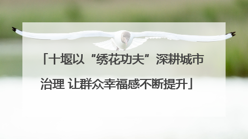 十堰以“绣花功夫”深耕城市治理 让群众幸福感不断提升