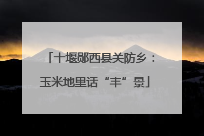 十堰郧西县关防乡：玉米地里话“丰”景
