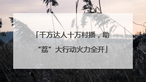 千万达人十万村播，助“荔”大行动火力全开