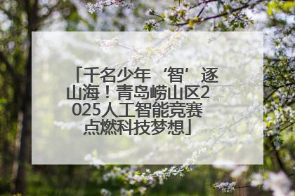 千名少年‘智’逐山海！青岛崂山区2025人工智能竞赛点燃科技梦想