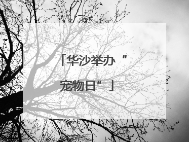 华沙举办“宠物日”