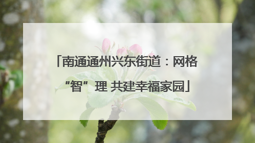 南通通州兴东街道：网格“智”理 共建幸福家园
