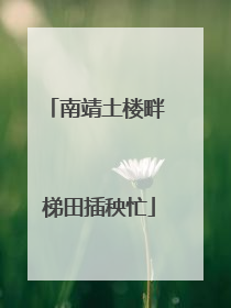 南靖土楼畔 梯田插秧忙