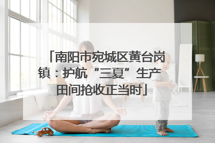 南阳市宛城区黄台岗镇：护航“三夏”生产 田间抢收正当时