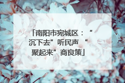 南阳市宛城区：“沉下去”听民声 “聚起来”商良策