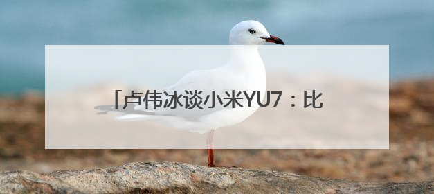 卢伟冰谈小米YU7：比SU7有更大的受众面