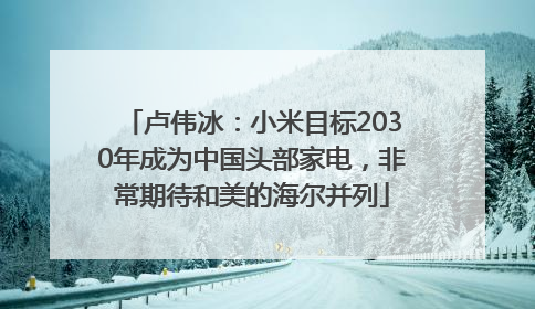 卢伟冰：小米目标2030年成为中国头部家电，非常期待和美的海尔并列