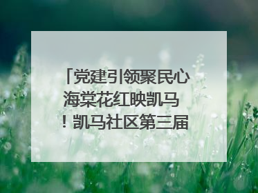 党建引领聚民心 海棠花红映凯马！凯马社区第三届邻里生活节谱写幸福新篇章