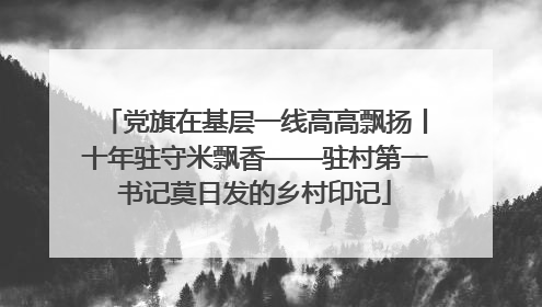 党旗在基层一线高高飘扬丨十年驻守米飘香——驻村第一书记莫日发的乡村印记
