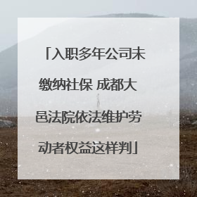 入职多年公司未缴纳社保 成都大邑法院依法维护劳动者权益这样判
