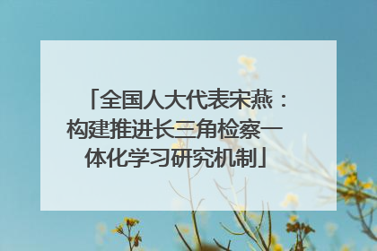 全国人大代表宋燕：构建推进长三角检察一体化学习研究机制