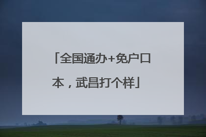 全国通办+免户口本，武昌打个样