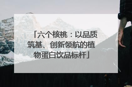 六个核桃：以品质筑基、创新领航的植物蛋白饮品标杆