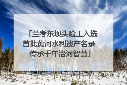 兰考东坝头险工入选首批黄河水利遗产名录 传承千年治河智慧