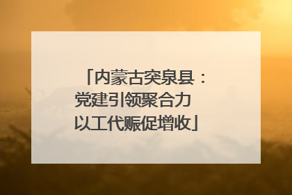 内蒙古突泉县：党建引领聚合力 以工代赈促增收