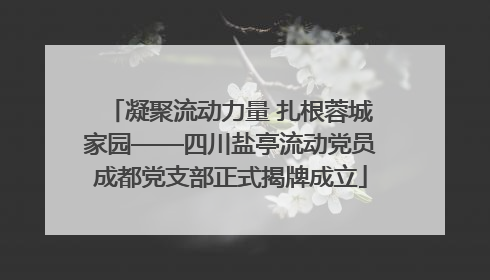 凝聚流动力量 扎根蓉城家园——四川盐亭流动党员成都党支部正式揭牌成立