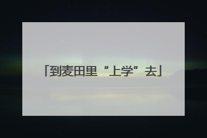 到麦田里“上学”去