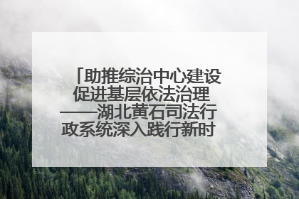 助推综治中心建设 促进基层依法治理——湖北黄石司法行政系统深入践行新时代枫桥经验