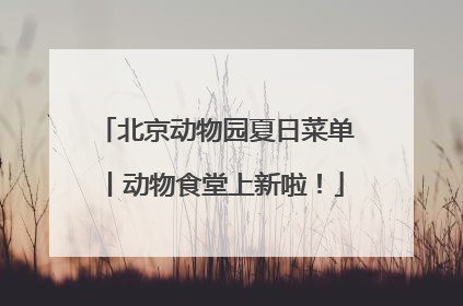 北京动物园夏日菜单丨动物食堂上新啦！