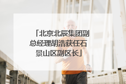 北京北辰集团副总经理胡浩获任石景山区副区长