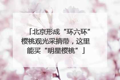 北京形成“环六环”樱桃观光采摘带，这里能买“明星樱桃”