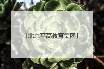 北京平高教育集团