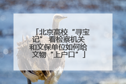 北京高校“寻宝记” 看检察机关和文保单位如何给文物“上户口”