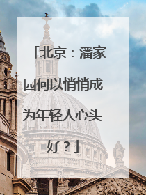 北京：潘家园何以悄悄成为年轻人心头好？