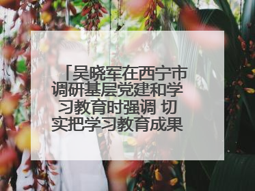 吴晓军在西宁市调研基层党建和学习教育时强调 切实把学习教育成果转化为惠民实效