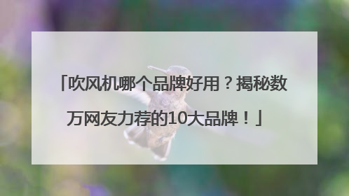 吹风机哪个品牌好用？揭秘数万网友力荐的10大品牌！