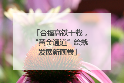 合福高铁十载，“黄金通道”绘就发展新画卷
