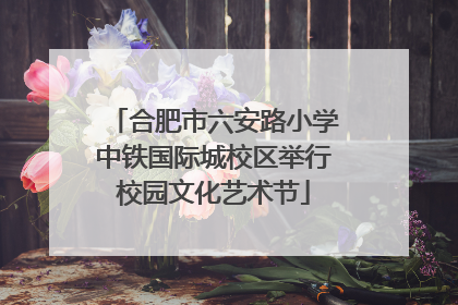 合肥市六安路小学中铁国际城校区举行校园文化艺术节