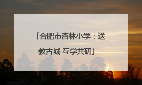 合肥市杏林小学：送教古城 互学共研